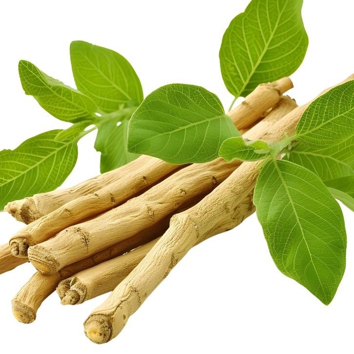 plantas-web-ok-Ashwagandha.jpg