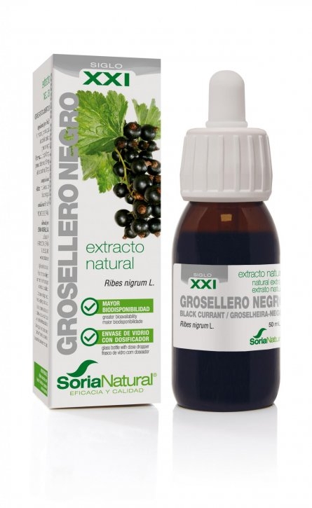 extracto-siglo-XXI-grosellero-soria-natural-1