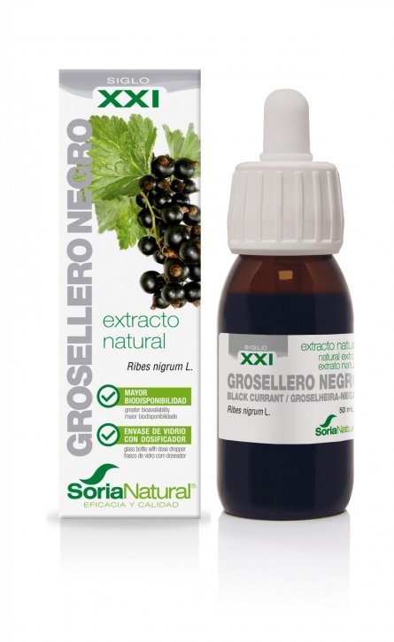 extracto-siglo-XXI-grosellero-soria-natural-2