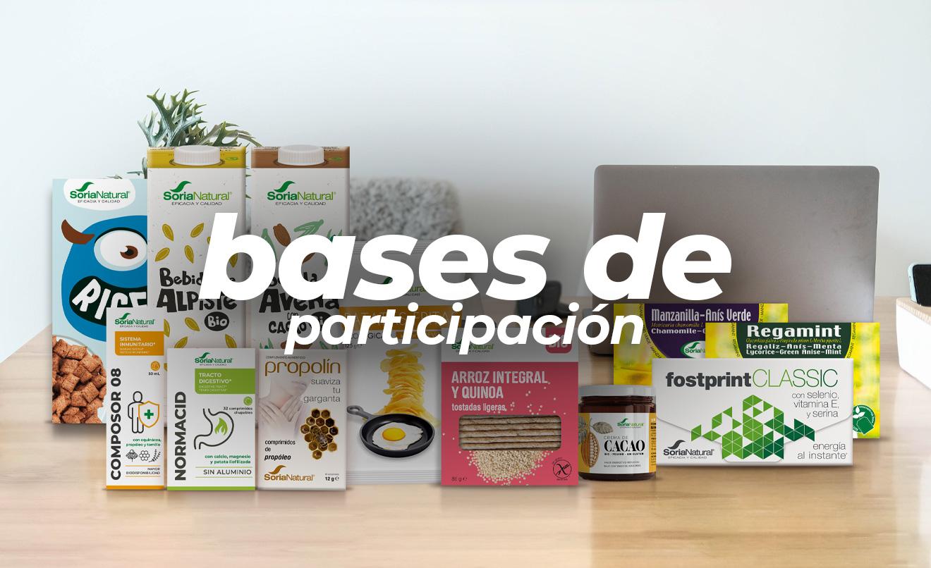 portada-post-bases-newsletter-2024.jpg